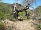 photo thumbnail #6
