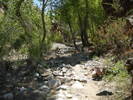 photo thumbnail #7