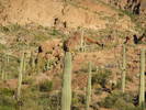 photo thumbnail #10
