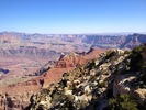 photo thumbnail #2