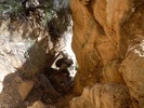 photo thumbnail #10