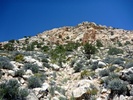 photo thumbnail #15