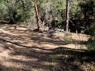photo thumbnail #14