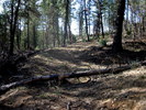 photo thumbnail #15