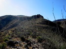 photo thumbnail #2