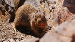 photo thumbnail #12
