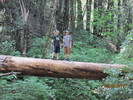photo thumbnail #7