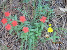 photo thumbnail #4