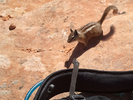 photo thumbnail #8