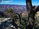 photo thumbnail #14