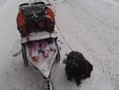 photo thumbnail #2