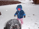 photo thumbnail #6