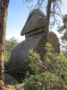 photo thumbnail #5