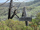 photo thumbnail #14