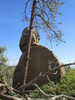 photo thumbnail #4