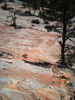 photo thumbnail #15