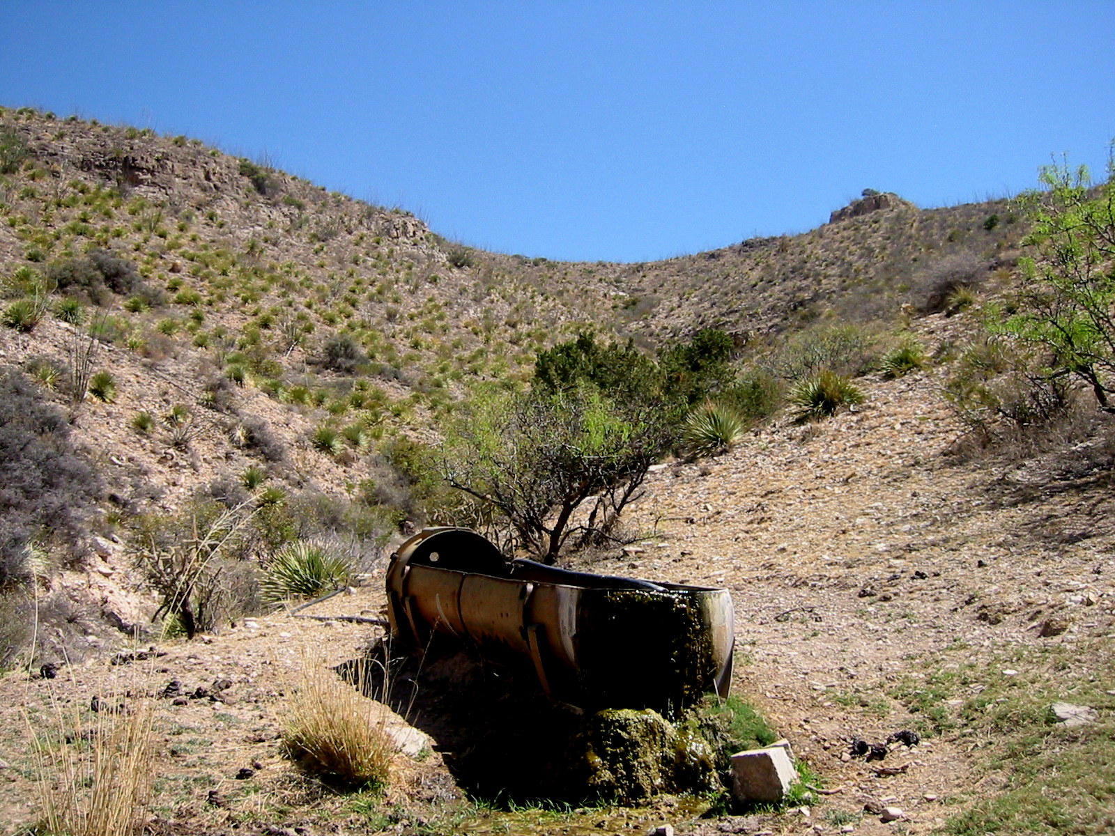 Pipe Springs Spur Trail, NM • Hike