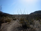 photo thumbnail #4