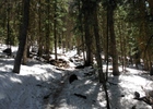 photo thumbnail #8