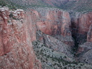 Featured Detail Photo