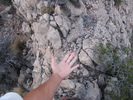 photo thumbnail #4