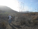 photo thumbnail #3