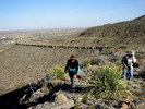 photo thumbnail #5