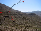 photo thumbnail #15