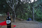 photo thumbnail #10