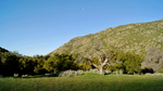 photo thumbnail #14