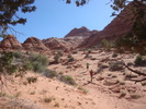 recent photo