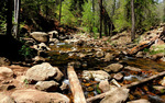photo thumbnail #4