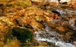 photo thumbnail #5