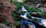 photo thumbnail #15