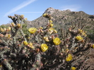 photo thumbnail #1