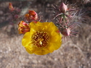 photo thumbnail #4