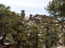 photo thumbnail #10