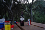 photo thumbnail #11