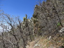 photo thumbnail #3