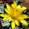 photo thumbnail #1