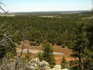 photo thumbnail #10