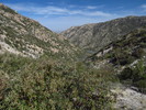 photo thumbnail #8