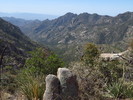 photo thumbnail #14