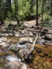 photo thumbnail #1