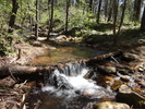 photo thumbnail #2