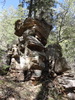 photo thumbnail #3