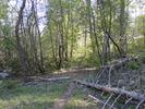 photo thumbnail #6