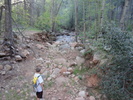 photo thumbnail #7