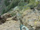 photo thumbnail #12