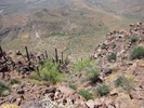 photo thumbnail #9